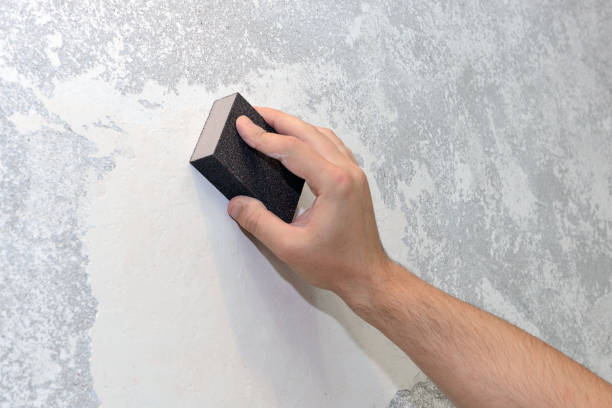 Best Air Quality Testing for Mold Spores  in Sumas, WA
