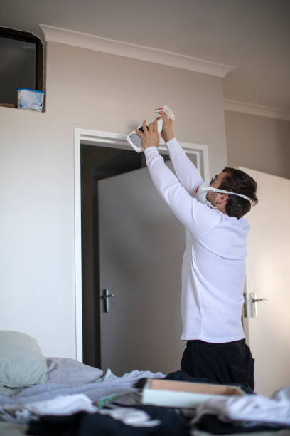 Asbestos and Lead Testing During Mold Inspection in Sumas, WA