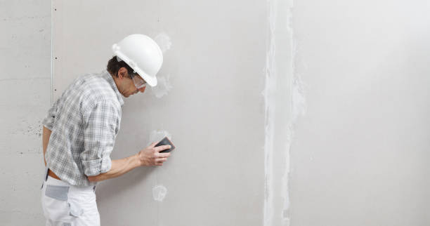 Best Comprehensive Air Testing for Mold Contaminants  in Sumas, WA