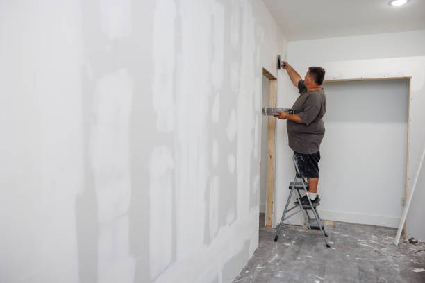 Best Biohazard Mold Removal  in Sumas, WA