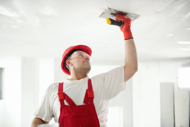 Best Post-Construction Mold Inspection  in Sumas, WA