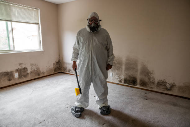 Best Basement Mold Removal  in Sumas, WA