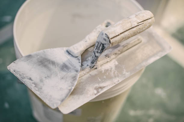  Sumas, WA Mold Removal Pros