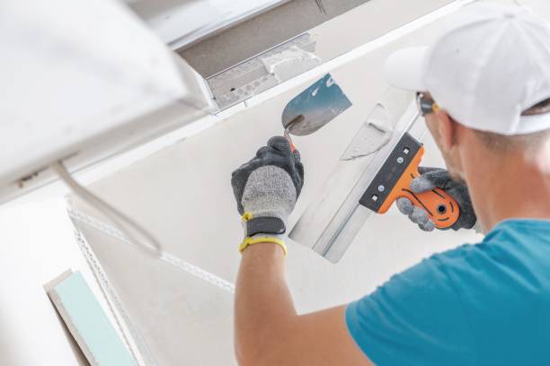 Best Residential Mold Inspection & Testing  in Sumas, WA